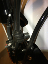 IMG_6377.jpeg