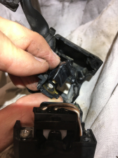 IMG_7992.JPG